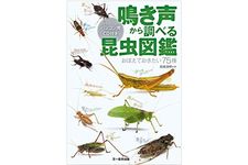 『鳴き声から調べる昆虫図鑑』（文一総合出版刊）