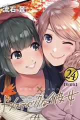 ドメスティックな彼女(24)特装版