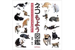 『ネコもよう図鑑: 色や柄がちがうのはニャンで?』浅羽宏著【「本が好き！」レビュー】