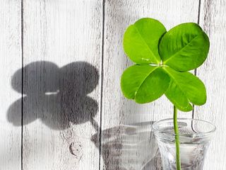 脳科学者が考える「運がいい人・悪い人」の違いとは?(*画像はイメージです)