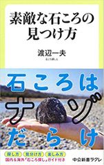 素敵な石ころの見つけ方